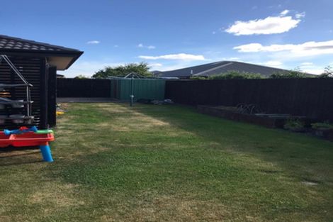 Photo of property in 17 Larne Place, Belfast, Christchurch, 8051