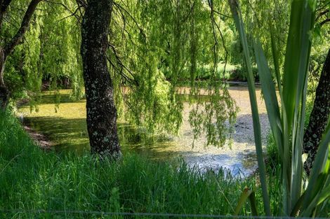 Photo of property in 237 Win Valley Road, Dovedale, Wakefield, 7096