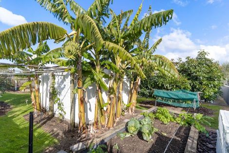 Photo of property in 208 Ajax Road, Whangamata, 3620