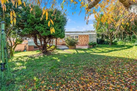 Photo of property in 40 Shirley Avenue, Papakura, 2110