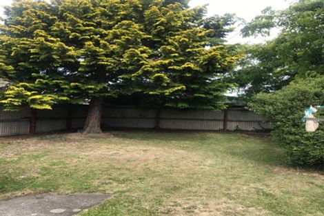 Photo of property in 40 Rose Street, Somerfield, Christchurch, 8024