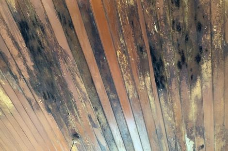 Photo of property in 130 Bann Street, Bluff, 9814