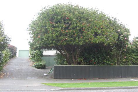 Photo of property in 3 Kawiu Road, Levin, 5510