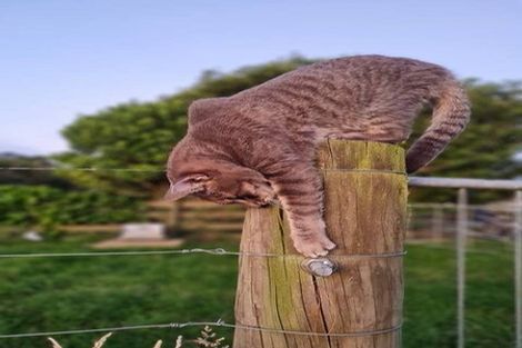 Photo of property in 350 Horokiwi Road, Horokiwi, Wellington, 5016