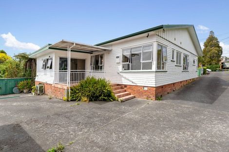 Photo of property in 14 Fifth Avenue, Mount Albert, Auckland, 1025