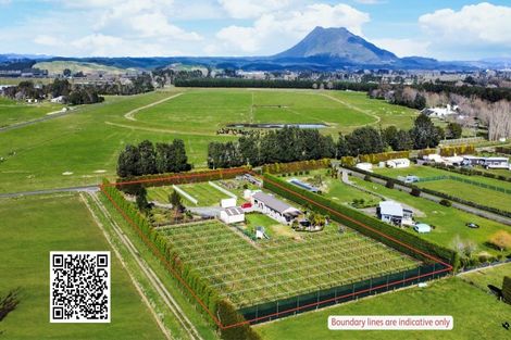 Photo of property in 16 Hogbin Road, Te Teko, Whakatane, 3193