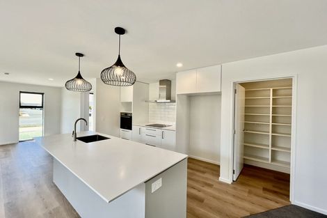 Photo of property in 513 East Maddisons Road, Rolleston, 7614