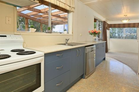 Photo of property in 20 Fitzwater Place, Henderson, Auckland, 0612