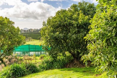 Photo of property in 51 Sinclair Road, Whakamarama, Tauranga, 3179