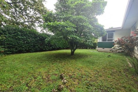 Photo of property in 1 Murillo Place, Henderson, Auckland, 0612