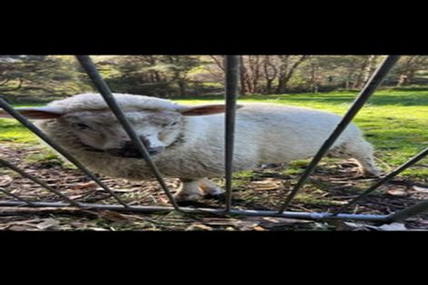 Photo of property in 33 Selbourne Avenue, Richmond, 7020