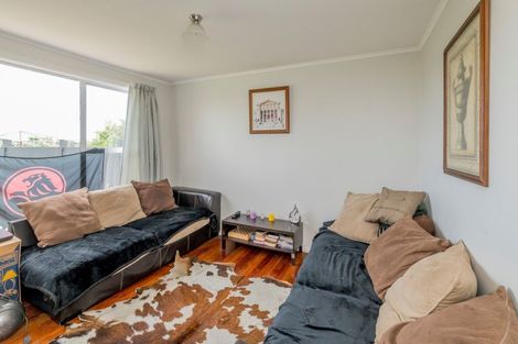 Photo of property in 16 Mahoe Street, Levin, 5510