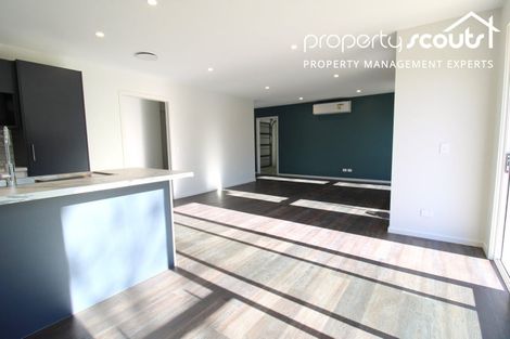 Photo of property in 42 Glenelg Street, Bradford, Dunedin, 9011