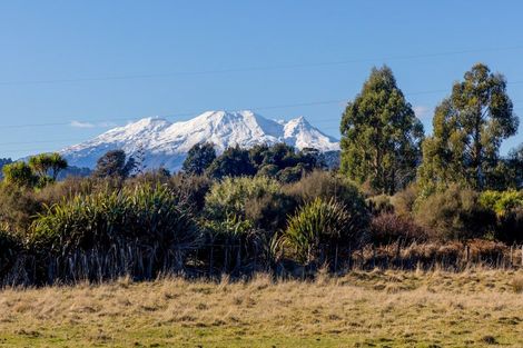 Photo of property in 176 Mangawhero River Road, Ohakune, 4691