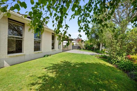 Photo of property in 19 Wesley Avenue, Frankleigh Park, New Plymouth, 4310