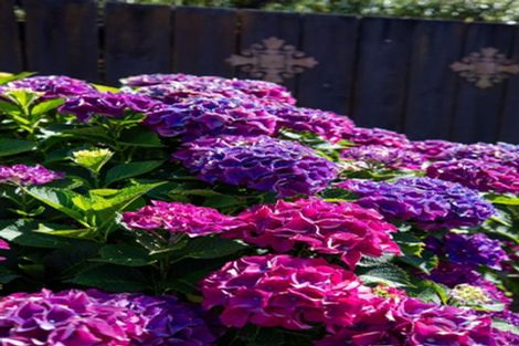 Photo of property in 2 Glencoe Court, Pyes Pa, Tauranga, 3112