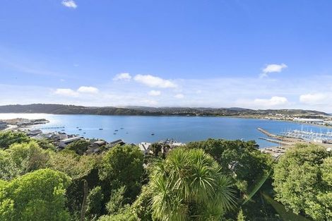 Photo of property in 43 Overtoun Terrace, Hataitai, Wellington, 6021