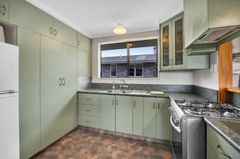 Photo of property in 13 Flint Road West, Stratford, 4332