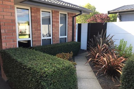 Photo of property in 17 Larne Place, Belfast, Christchurch, 8051