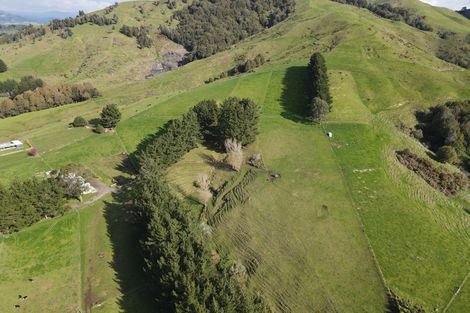 Photo of property in 650 Bayley Road, Wharepuhunga, Te Awamutu, 3873
