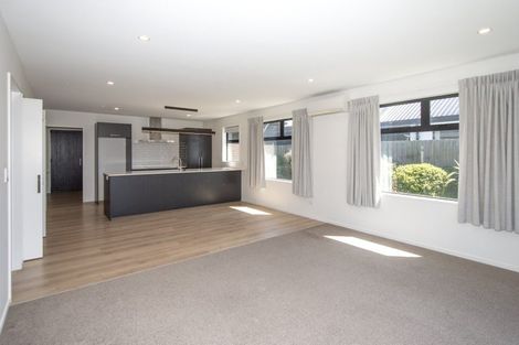 Photo of property in 55 William Nicholls Drive, Belfast, Christchurch, 8051