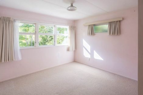 Photo of property in 110 Lambert Street, Thames, 3500