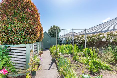 Photo of property in 69 Guildford Drive, Paraparaumu, 5032