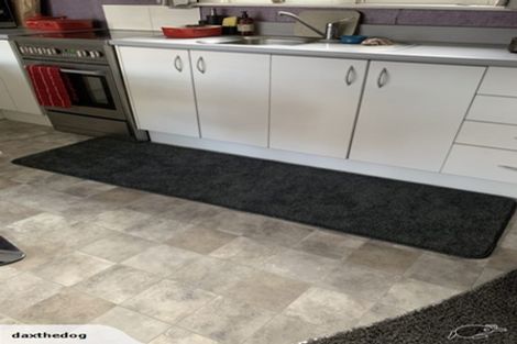 Photo of property in 81 Selwyn Street, Appleby, Invercargill, 9812