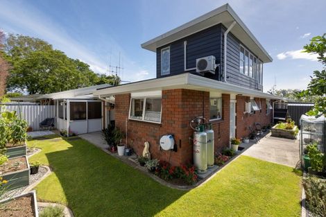 Photo of property in 99b Eighth Avenue, Tauranga, 3110