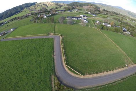 Photo of property in 431 Tararua Road, Levin, 5571