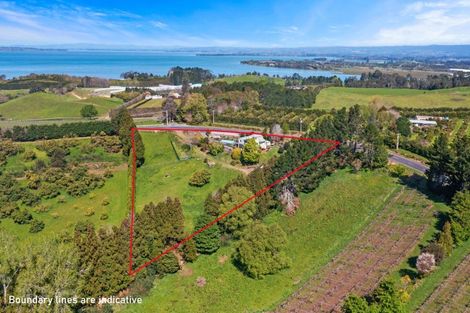 Photo of property in 213 Kauri Point Road, Tahawai, Katikati, 3170