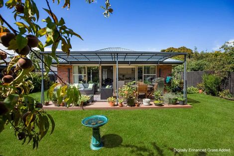 Photo of property in 2b Bank Street, Amberley, 7410