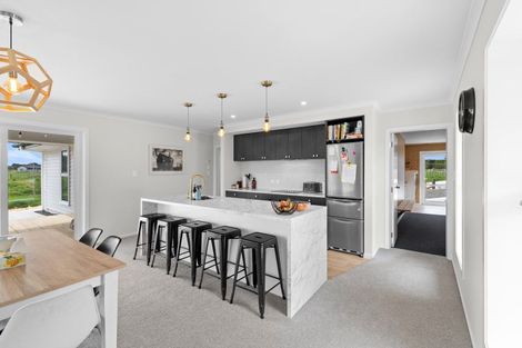 Photo of property in 192 Cole Road, Rongotea, Palmerston North, 4476