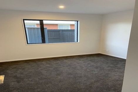 Photo of property in 141a Champion Street, Edgeware, Christchurch, 8013