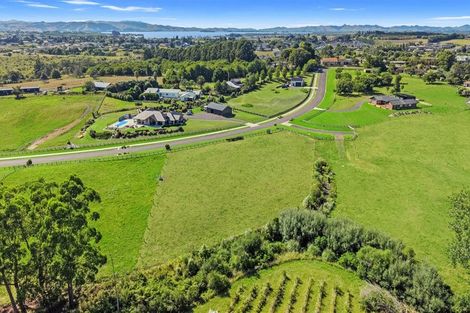 Photo of property in 48 Moorfield Road, Te Kauwhata, 3782