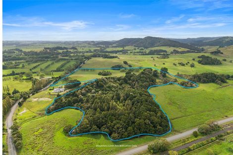 Photo of property in 559 Old Kaipara Road, Kaipara Flats, Warkworth, 0981
