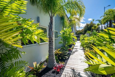 Photo of property in 29 Schopolo Place, Schnapper Rock, Auckland, 0632