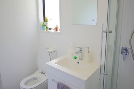 Photo of property in 556a Ferguson Street, Terrace End, Palmerston North, 4410