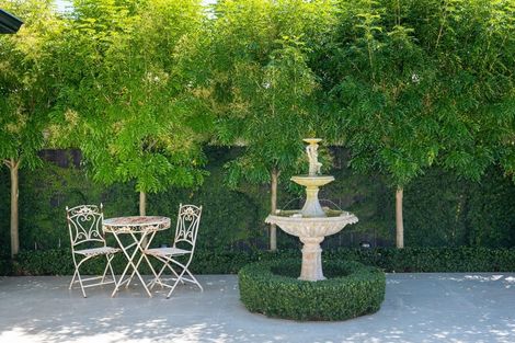 Photo of property in 88 Mchardy Street, Havelock North, 4130