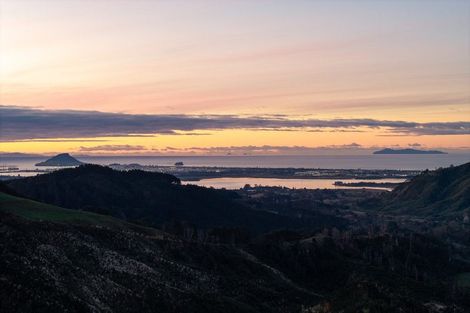 Photo of property in 566c Waitao Road, Waitao, Tauranga, 3175