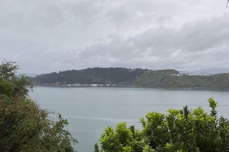 Photo of property in 11 Te Anau Avenue, Hataitai, Wellington, 6021