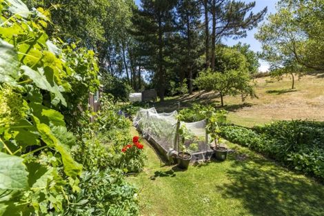 Photo of property in 57 Kings Avenue, Waikuku Beach, 7402