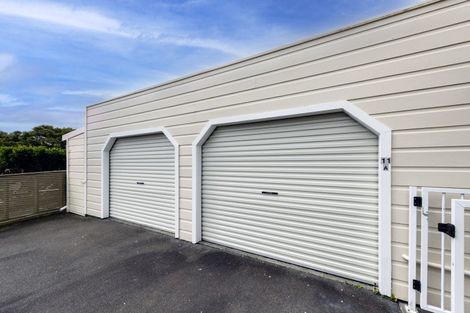 Photo of property in 11 Dart Crescent, Island Bay, Wellington, 6023