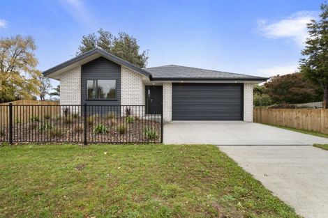 Photo of property in 13 Purcell Street, Foxton, 4814