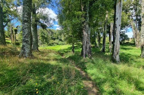 Photo of property in 358 Mangaotaki Road, Piopio, 3971