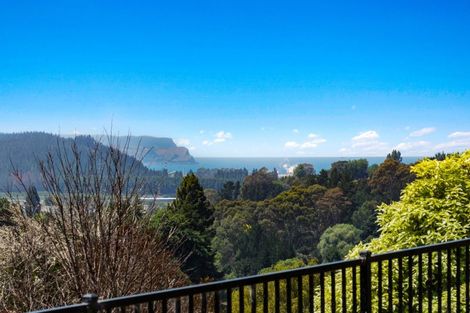 Photo of property in 19 Esk View Road, Eskdale, Napier, 4182