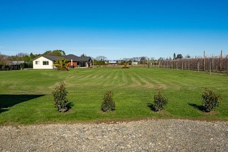 Photo of property in 51 Lodder Lane, Riwaka, Motueka, 7198