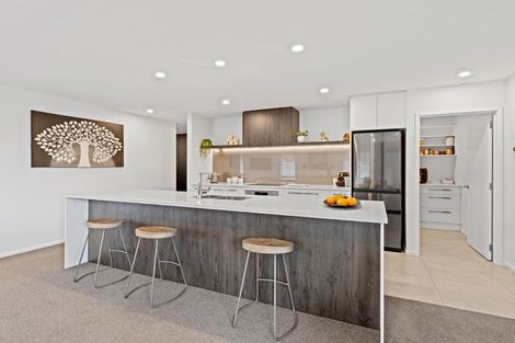 Photo of property in 18 Broomleigh Drive, Rolleston, 7615