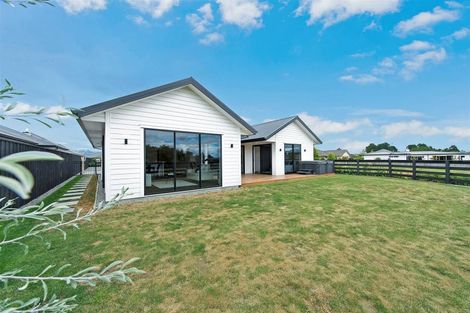 Photo of property in 12 Alfie Lane, Lincoln, 7608