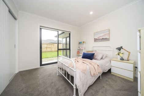 Photo of property in 24 Monarch Drive, Ashhurst, 4810